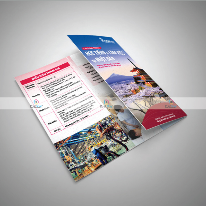 Bí Quyết In Tờ Gấp Thu Hút Khách Hàng Năm 2025